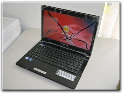 Замена матрицы Packard Bell в Сходне